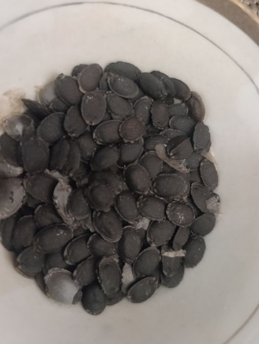 Мачалка Люффа Кабачка уруғи