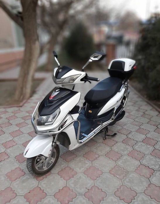 Bosh tolov 300$ naxtga 850$ srochno