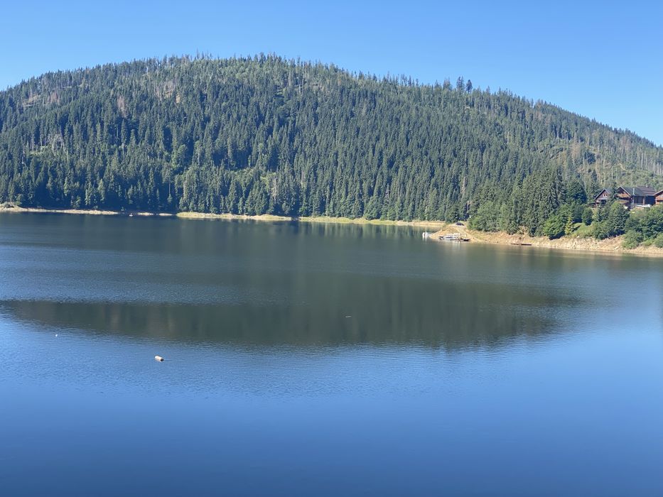 Fotograf,Videograf evenimente