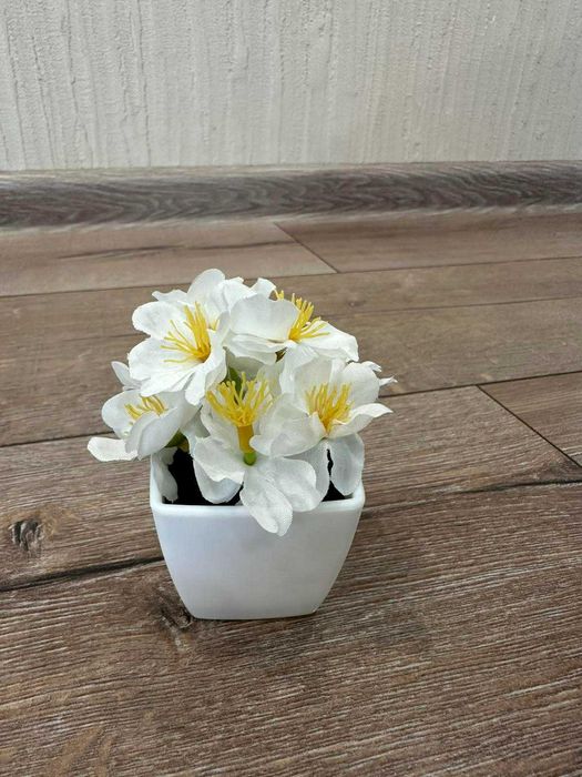 Декоративни растения