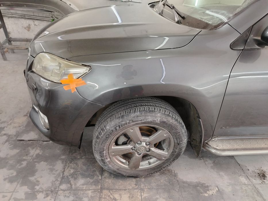 Костоправ моляр, полировка ПДР