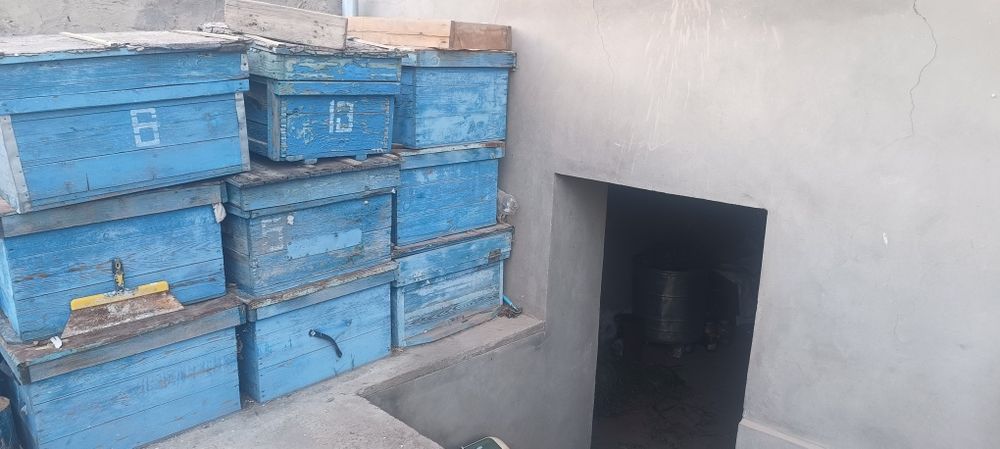 Асалари уйалари сотилади