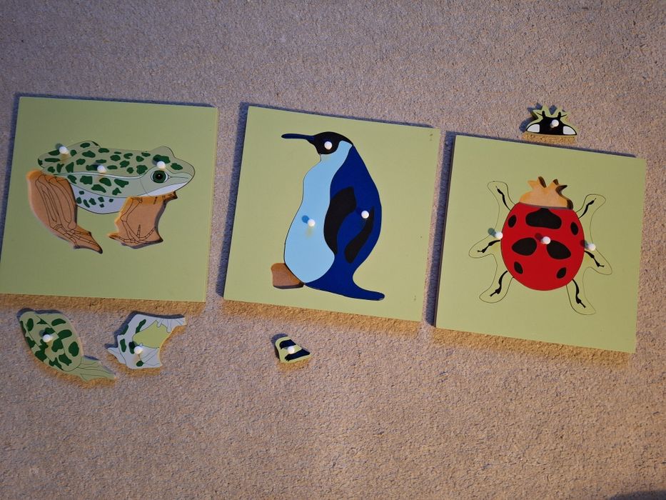Puzzle educational, 24x24 din lemn, broasca, buburuza si pinguin