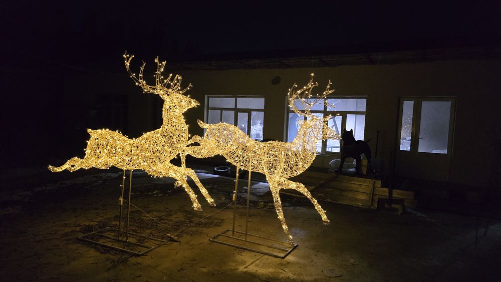 Новогодня олень из первых рук