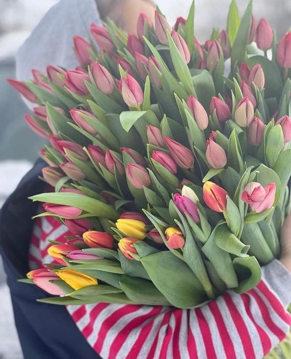 Покупай цветы тюльпаны почти бесплатно