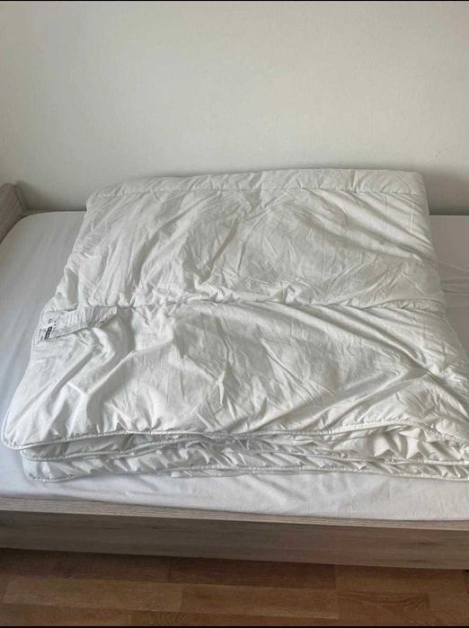 Pilota+ 2 perne+ o perna decorativa gratuit (oferta specială)