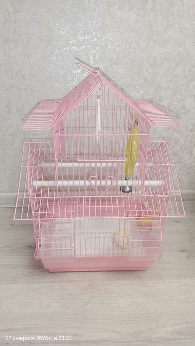 Сетка для попугай