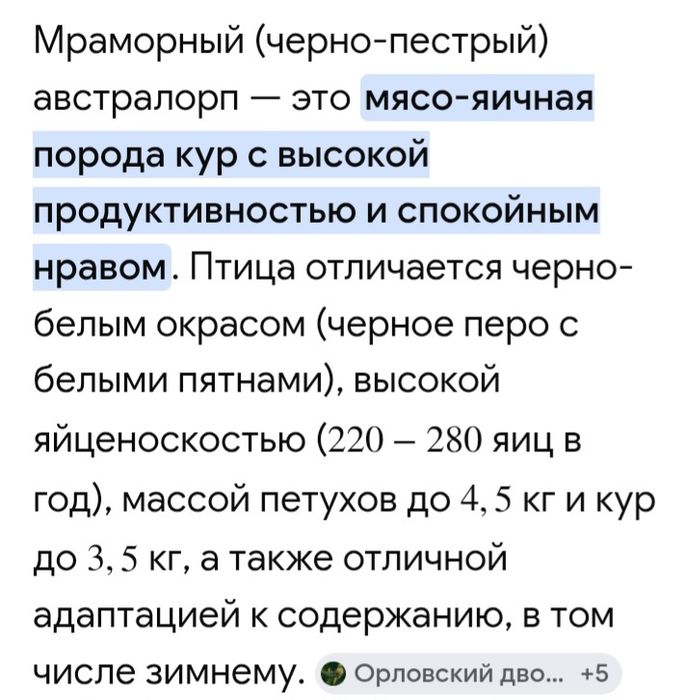 Продам домашних цыплят