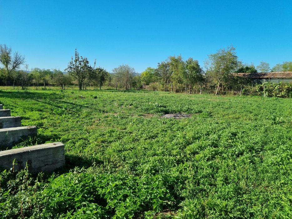 Casă de vânzare în sat Lalașinț