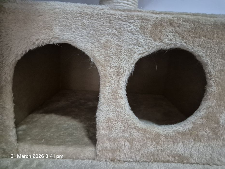 Ansamblu joacă pisici – ca nou