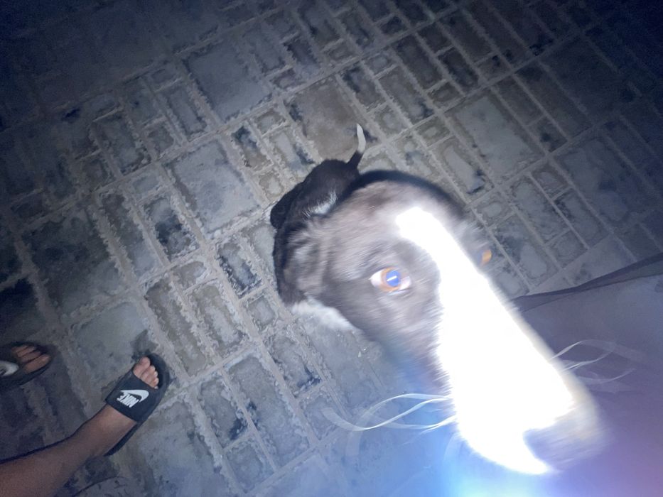 Электроскутер ск8