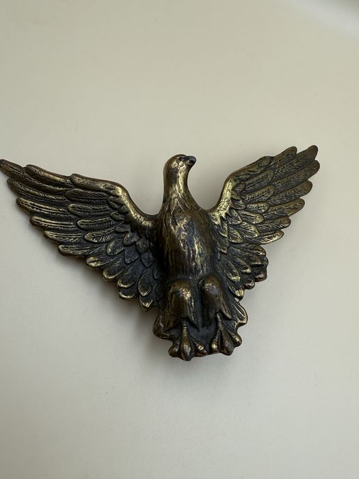 Catarama blugi vultur