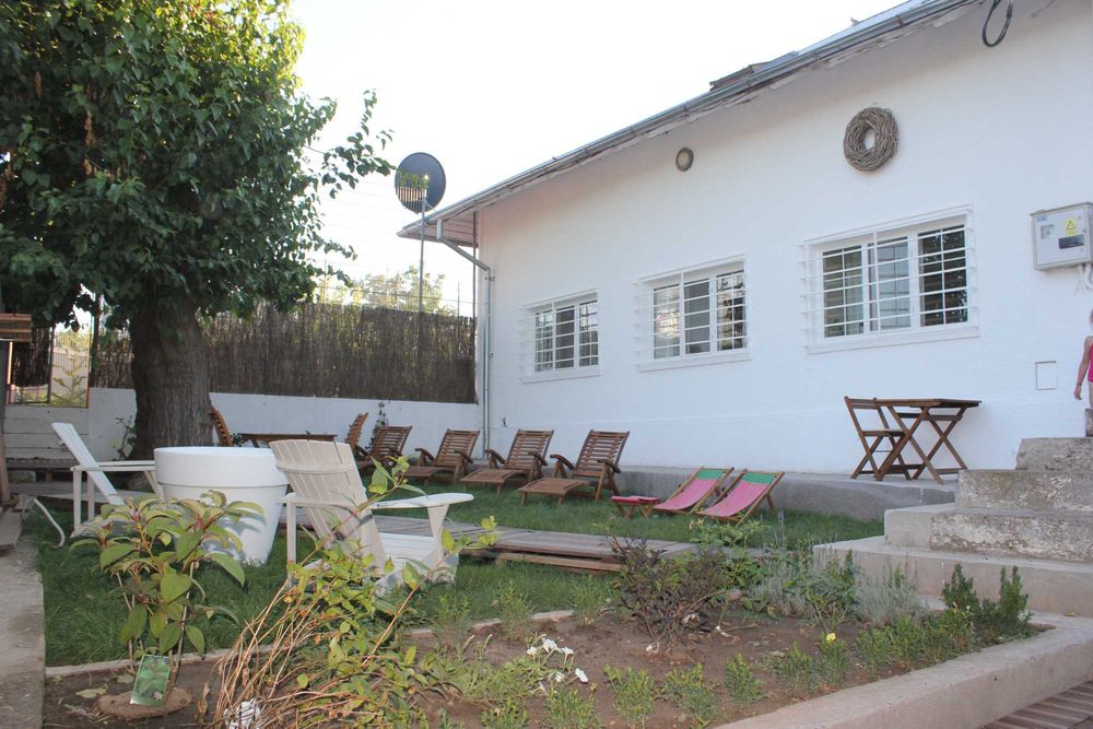 Investiție Rară în Delta Dunării