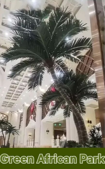 Palma darahtlari Суний Палма дарахтлар