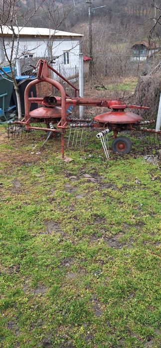 Schimb cu porumb cartofi grau