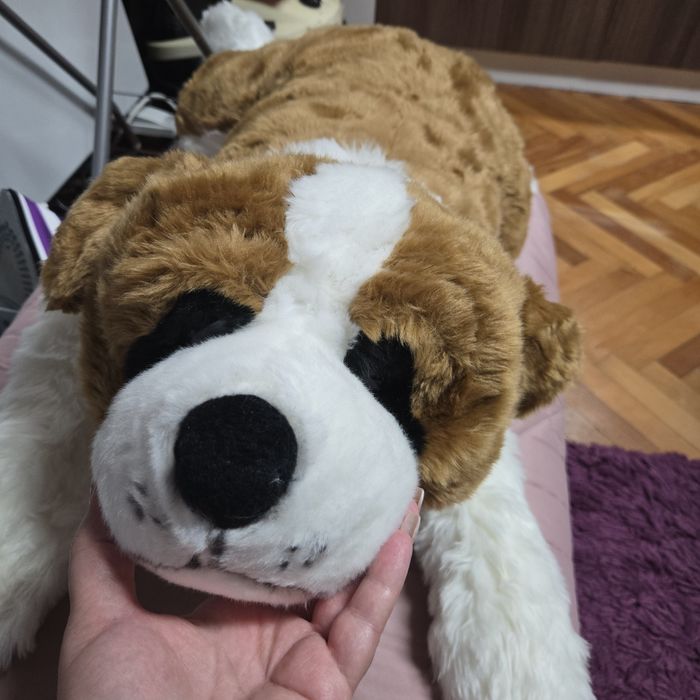 Ново голямо куче Самбернар