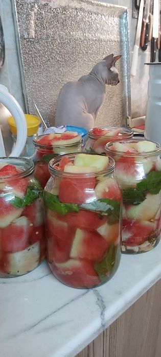 Грибы разные . Подтопольники/лисички/груздь