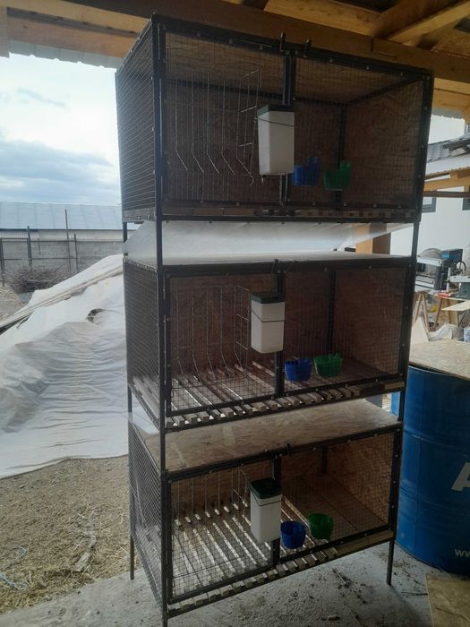 Cusca iepuri,boxe iepuri