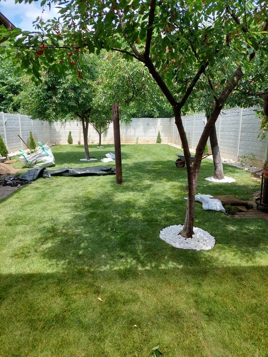 Gazon rulou și insamantare