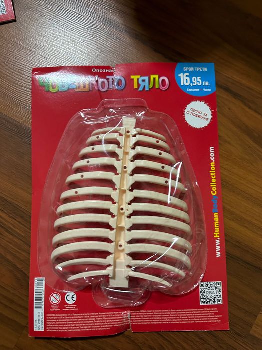 Човешкото тяло първите 5 броя