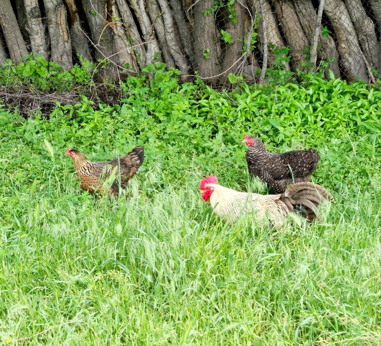 Земля! Продам 6,4 га земли.