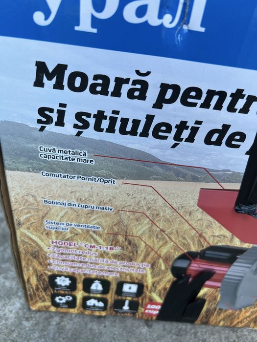 Uruitoate cereale