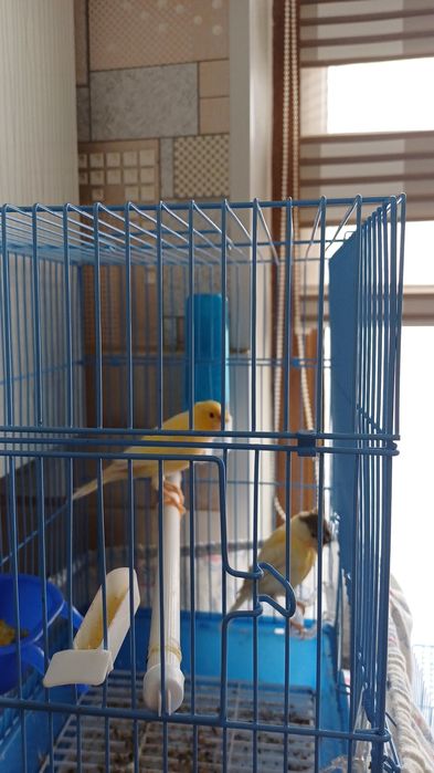 Срочно продаётся