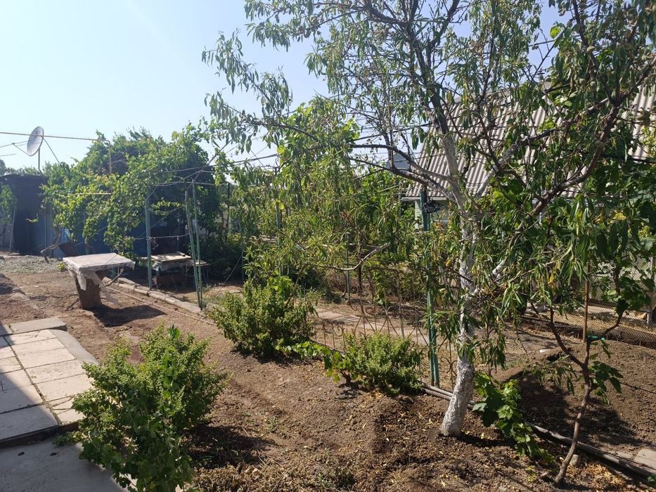 Срочно продаю свою дачу в кибрае 9 соток