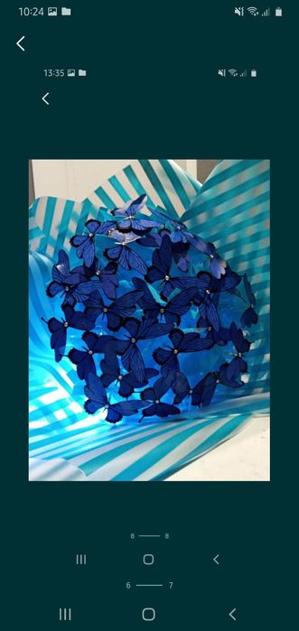 Букеты из бабочек