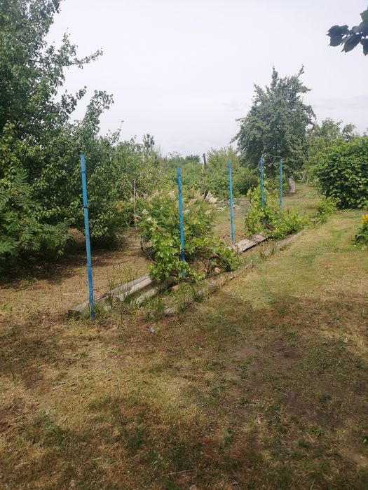 Продам дачу, вторая дачная второй поворот налево