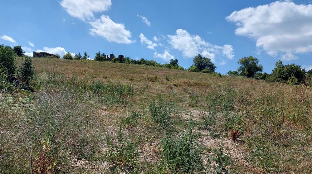 Продава се Парцел в с. Ковачевци, Област Перник - 5560 кв.м за 53 €/кв.м - Снимка #9