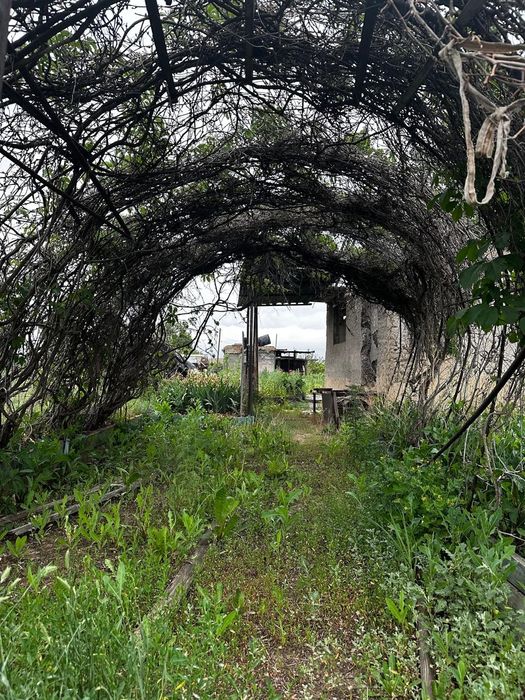 Дача  на Гагарина