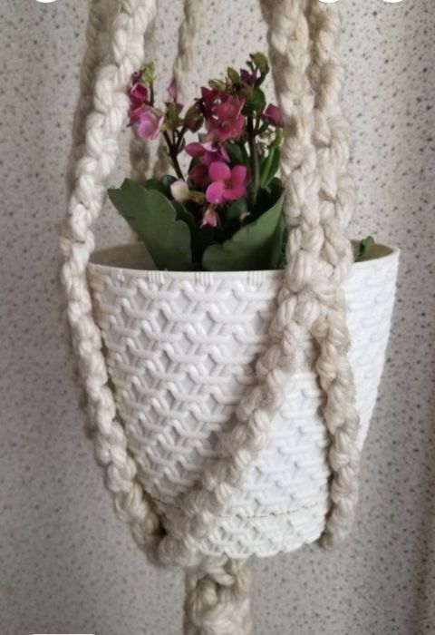 Цитрос преса ,чиния за пица,графа  с 4 чаши ,раница и декорация  за