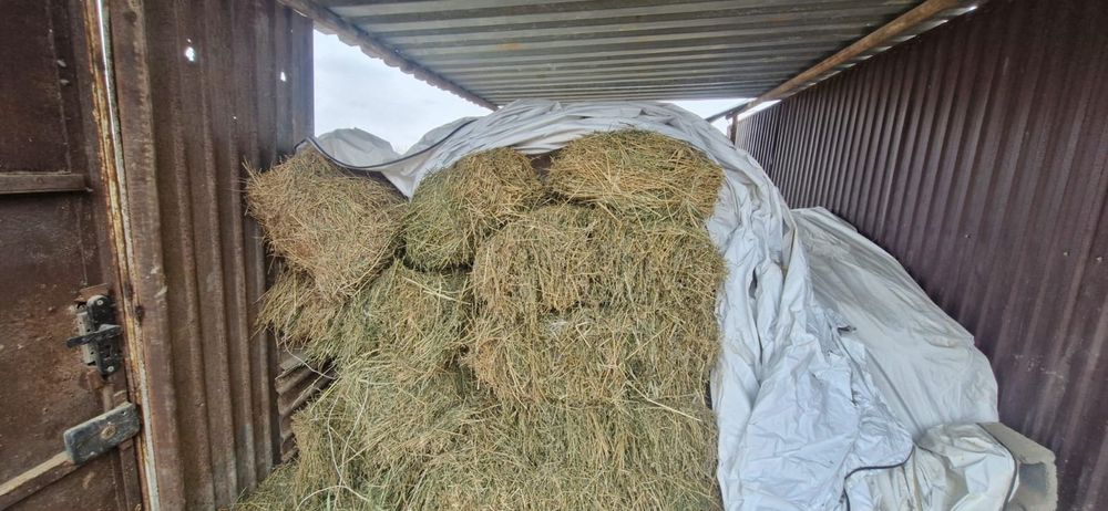 Жоңышқа сатылады жағдайы өте жақсы