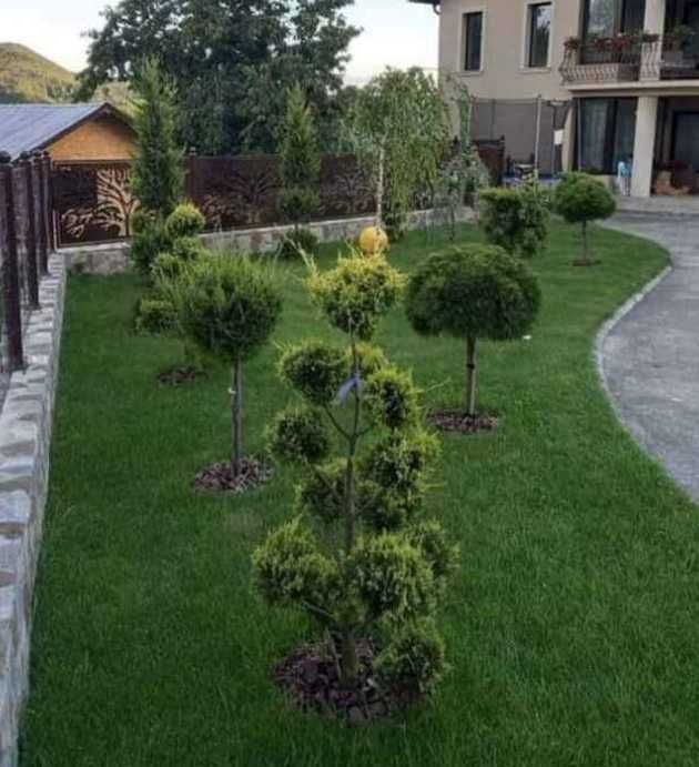 Gazon Rulou sisteme de Irigare