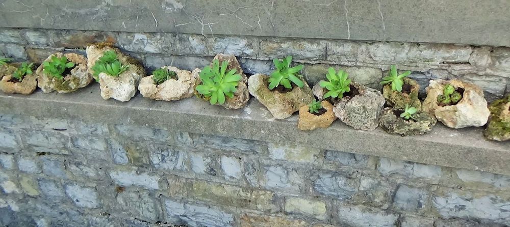 Камъни за украса на дома и градината