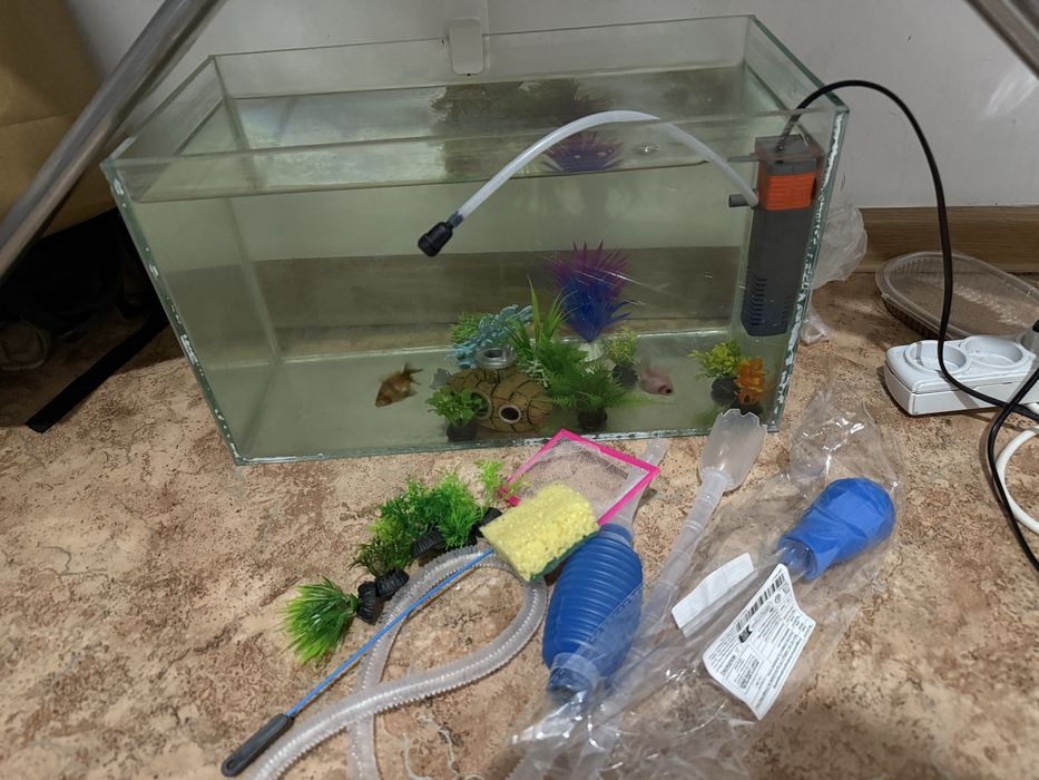 Ештене коймаймын