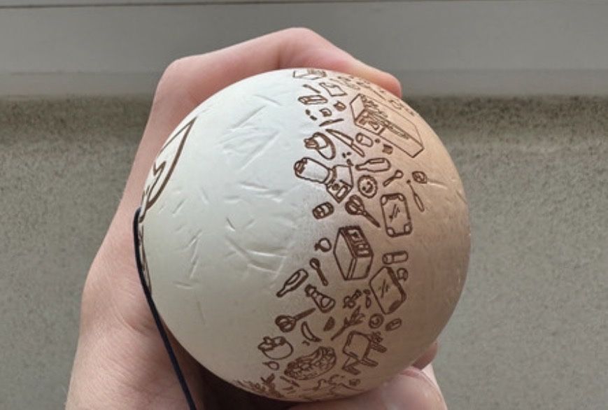 Tama erracticsquirrel