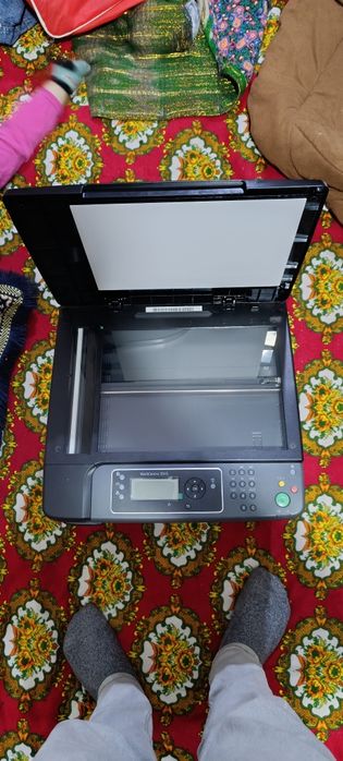 Цветной Прентр сотилади