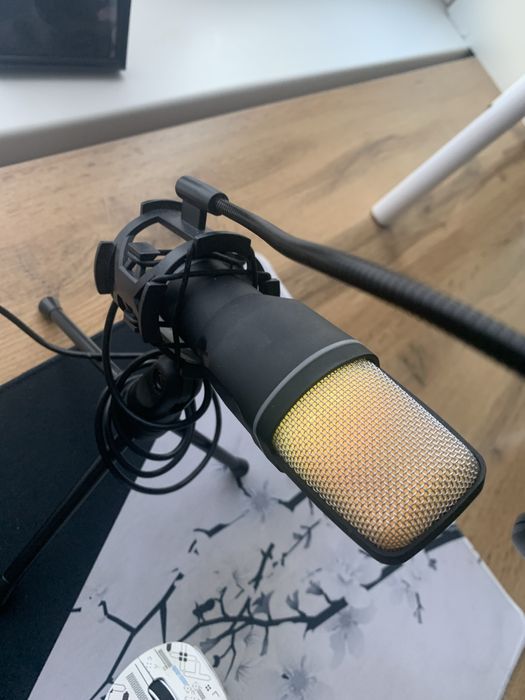 Микрофон 6.500 тг