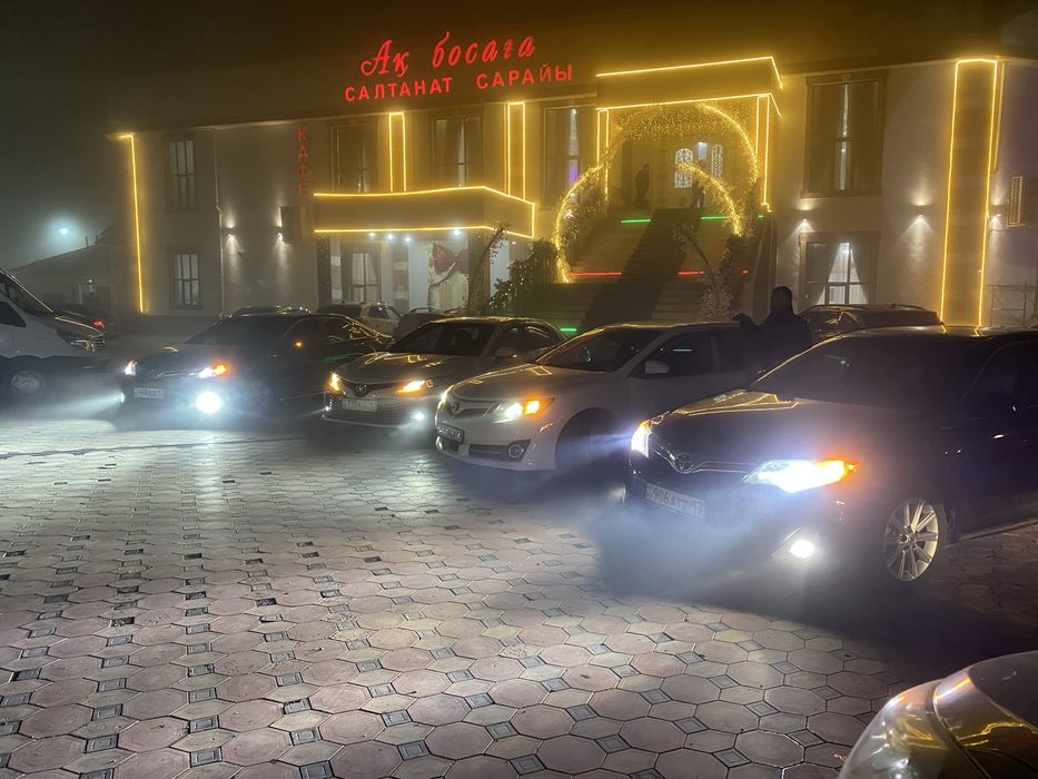 Led H11 N-MAX 130 W 6000K