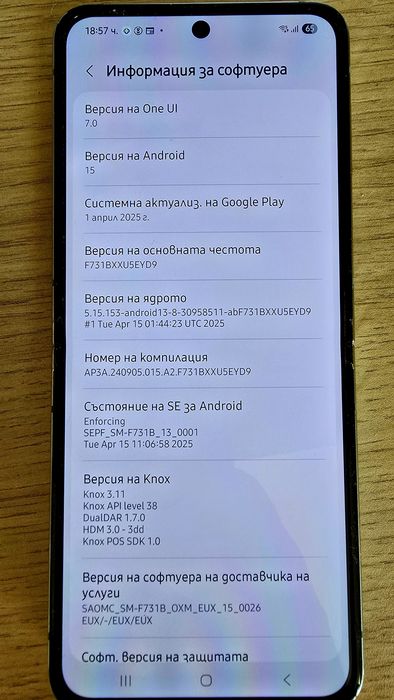 Samsung Galaxy Z Flip 5 256GB Mint