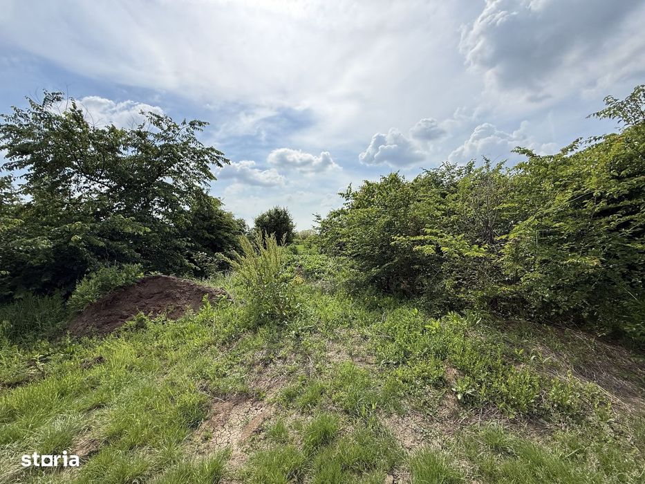 Teren intravilan 498,02 mp langa pădure , strada privata Corbeanca