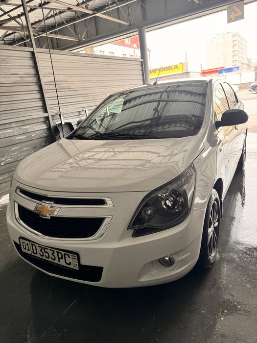 Cobalt 2025 midnight navarot full