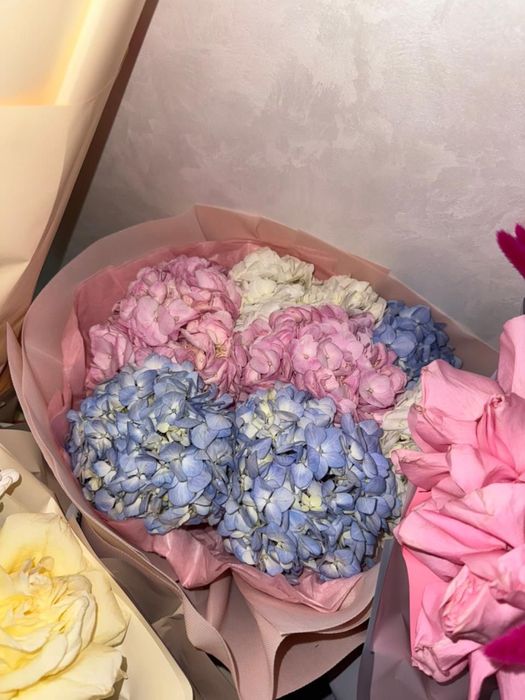 Гулдер букеты цв