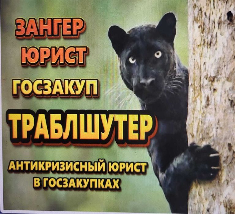 Траблшутер Госзакуп юрист
