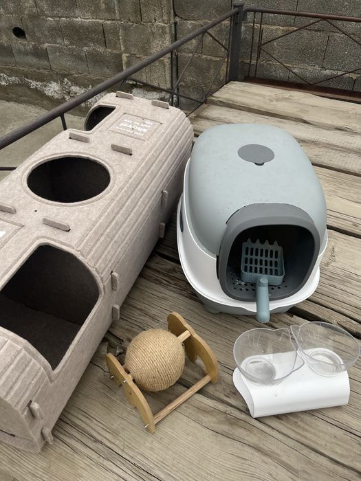 Дом кошки и туалет