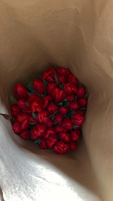 Тюльпаны см по самым низким ценам