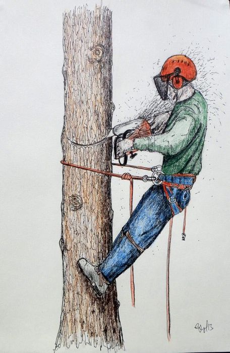 Кронирование деревьев, спил сухих и опасных деревьев.