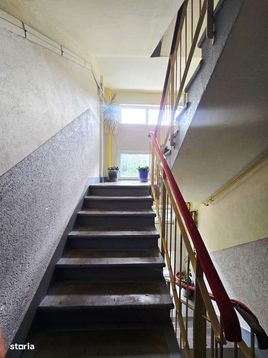 Apartament 1 camera, etaj 1 – Vlaicu
